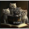 2Gatos Gatitos 15