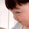 Coreanitas 1 18