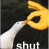 Random Shit #2 12