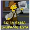 The Simpsons 13 14