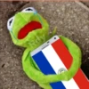 Kermit con frases uwu ️ 11