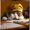 2Gatos Gatitos 18
