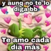 Kermit con frases uwu ️ 12