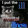 Raccoon Vol. 3 17