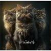 2Gatos Gatitos 20