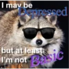 Raccoon Vol. 3 19