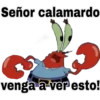 10.8 Atencion ## 21