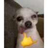 Random Shit #2 16