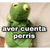 Kermit con frases uwu ️ 16
