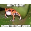 Random Shit #2 17