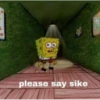 please say sike