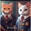 2Gatos Gatitos 22