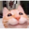 kitys 24