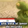 Kermit con frases uwu ️ 20
