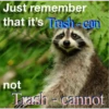 Raccoon Vol. 3 22