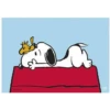 Snoopy 11