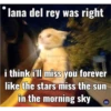 lana del rey was right
Gconvent
i think i'll miss you forever
like the stars miss the sun
in the morning sky
ENTHU