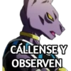 10.8 Atencion ## 25