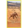 Baby Cute Elephant ✺1 24