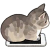 Gatitos❥ ︎ͫ1 Clásica 24