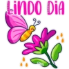 LINDO DIA
COKKI