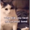 why did you text
me in that tone