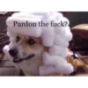 Random Shit #2 27