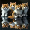 2Gatos Gatitos 28