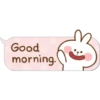 Good
morning.