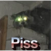 Raccoon Vol. 3 24
