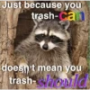 Raccoon Vol. 3 25