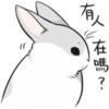 Grey Rabbit 8