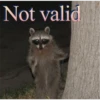 Raccoon Vol. 3 26