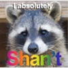 Raccoon Vol. 3 27