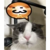 kitys 30