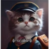 2Gatos Gatitos 30