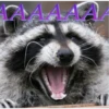 Raccoon Vol. 3 28