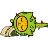 CATNIP
Eo