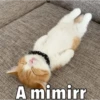 12.2 Cansado BuenasN Mimir 6