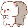 Mochi peach cat 6