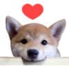 7.4 Corazon 5