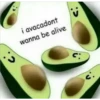 bc im boliao 6