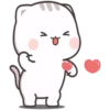 7.4 Corazon 7