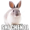 SHI CHENOL