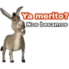 7.3 Besos ## 8