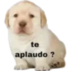 5.12 Serio 7