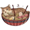 Gatitos Orientales❥ ︎ͫ2 Clásica 7