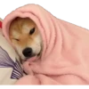 12.2 Cansado Dormido -- 10
