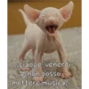 ...ciao, e' venerdi
e non posso
mettere musica!