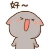Mochi peach cat 8